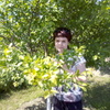 Наталья Любимова, 40, г.Красногорск Наталья Любимова, 40, г.Красногорск