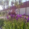 Антон, 28, г.Томск Антон, 28, г.Томск