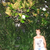 Аленка, 36, г.Елец Аленка, 36, г.Елец