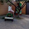 Екатерина, 58, г.Владимир Екатерина, 58, г.Владимир