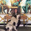 Арсен, 21, г.Владикавказ Арсен, 21, г.Владикавказ