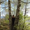 МАРУСЯ, 60, г.Ярославль МАРУСЯ, 60, г.Ярославль
