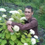 Александр 60 Саратов