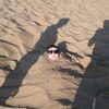 Григорьев, 39, г.Ядрин Григорьев, 39, г.Ядрин